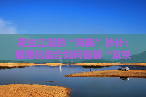 花生江湖的“海鸥”妙计：看期权组合如何破解“双杀”困局