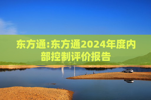 东方通:东方通2024年度内部控制评价报告