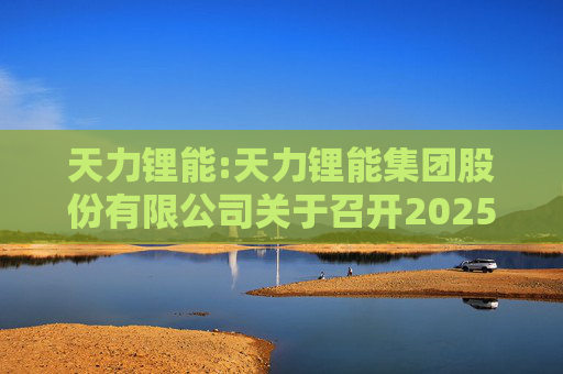 天力锂能:天力锂能集团股份有限公司关于召开2025年第二次临时股东大会的通知
