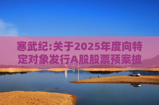 寒武纪:关于2025年度向特定对象发行A股股票预案披露的提示性公告