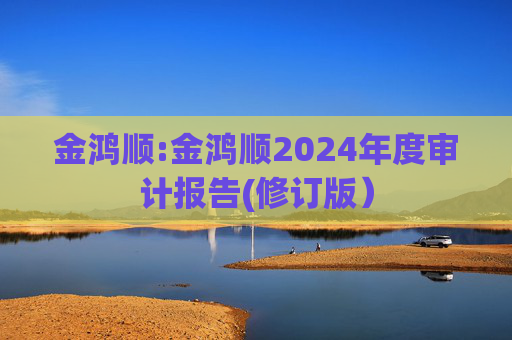 金鸿顺:金鸿顺2024年度审计报告(修订版)