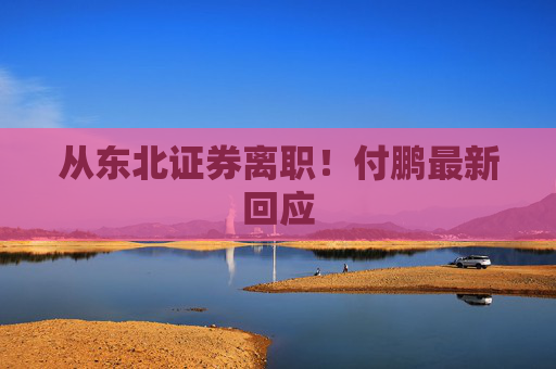 从东北证券离职！付鹏最新回应  第1张