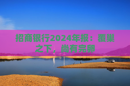 招商银行2024年报:覆巢之下,尚有完卵
