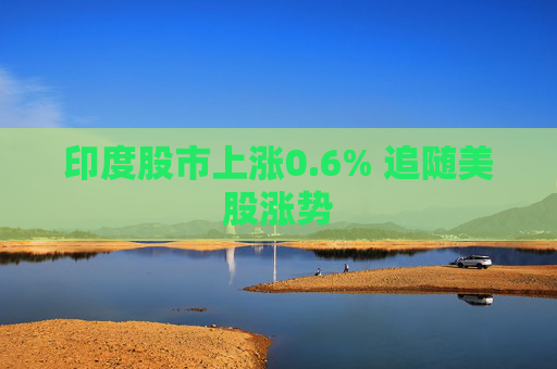 印度股市上涨0.6% 追随美股涨势