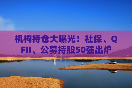 机构持仓大曝光！社保、QFII、公募持股50强出炉