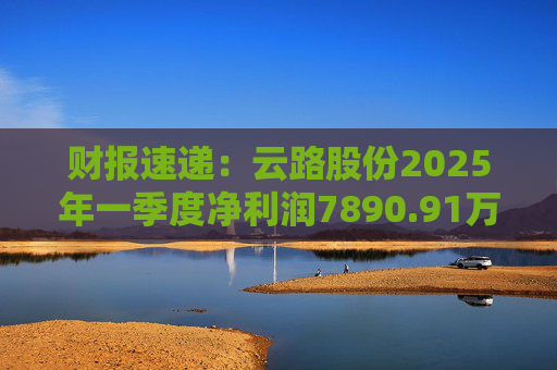 财报速递:云路股份2025年一季度净利润7890.91万元 第1张 财报速递:云路股份2025年一季度净利润7890.91万元 第1张
