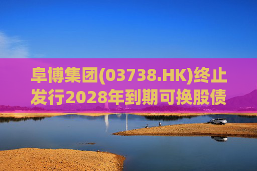 阜博集团(03738.HK)终止发行2028年到期可换股债券