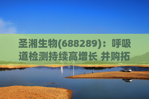 圣湘生物(688289)：呼吸道检测持续高增长 并购拓展成长边界