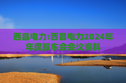西昌电力:西昌电力2024年年度股东会会议资料  第1张