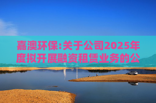 嘉澳环保:关于公司2025年度拟开展融资租赁业务的公告
