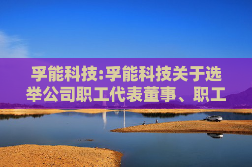 孚能科技:孚能科技关于选举公司职工代表董事、职工代表监事的公告