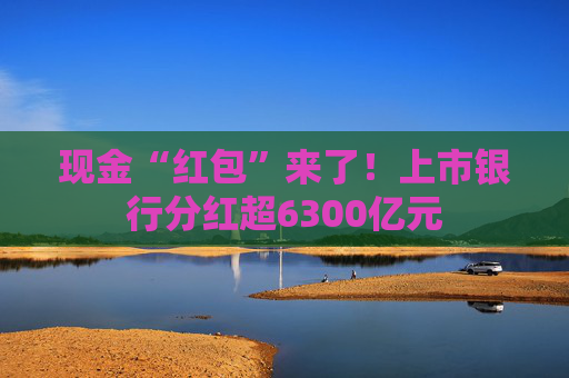 现金“红包”来了！上市银行分红超6300亿元