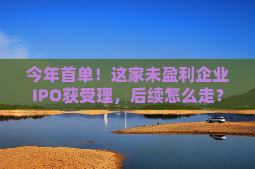 今年首单！这家未盈利企业IPO获受理，后续怎么走？