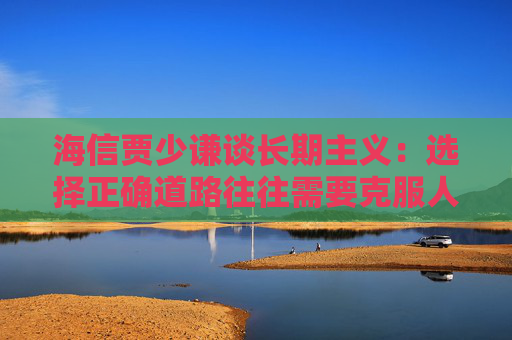 海信贾少谦谈长期主义:选择正确道路往往需要克服人性弱点,承受短期阵痛
