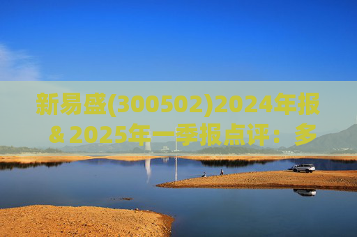 新易盛(300502)2024年报＆2025年一季报点评：多产品进入业绩释放周期 产品及客户结构进一步优化