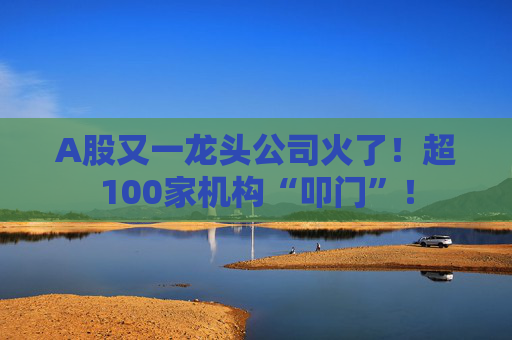 A股又一龙头公司火了！超100家机构“叩门”！