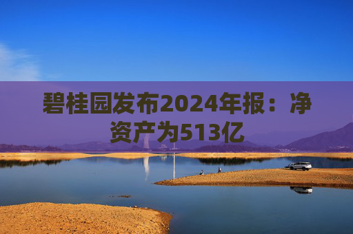 碧桂园发布2024年报：净资产为513亿  第1张