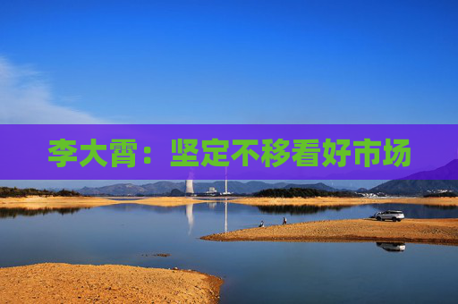 李大霄：坚定不移看好市场