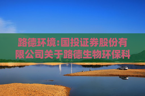 路德环境:国投证券股份有限公司关于路德生物环保科技股份有限公司2024年年度持续督导跟踪报告
