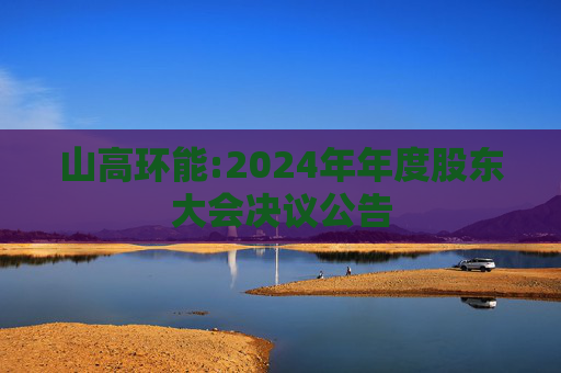 山高环能:2024年年度股东大会决议公告