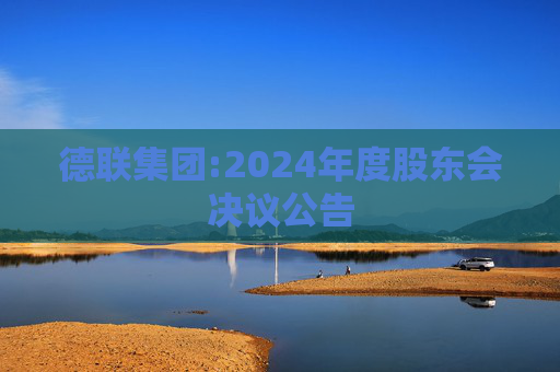 德联集团:2024年度股东会决议公告