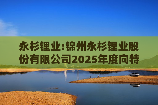 永杉锂业:锦州永杉锂业股份有限公司2025年度向特定对象发行A股股票方案论证分析报告  第1张