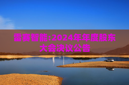 雷赛智能:2024年年度股东大会决议公告
