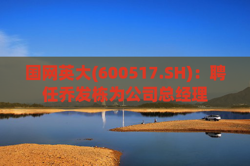 国网英大(600517.SH)：聘任乔发栋为公司总经理