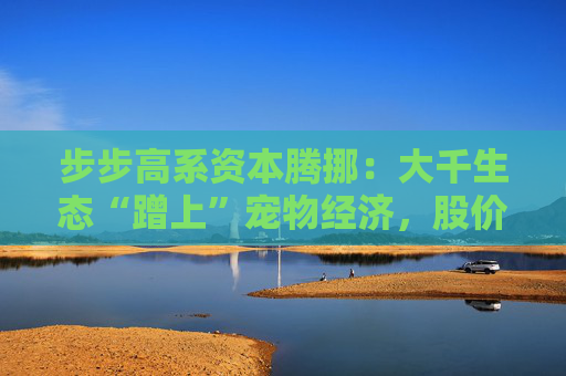 步步高系资本腾挪:大千生态“蹭上”宠物经济,股价1个月翻倍背后的借壳疑云