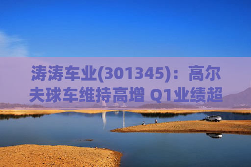 涛涛车业(301345)：高尔夫球车维持高增 Q1业绩超预期  第1张