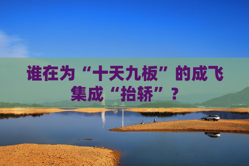 谁在为“十天九板”的成飞集成“抬轿”？