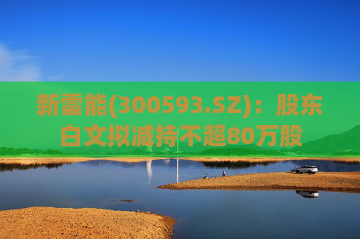 新雷能(300593.SZ):股东白文拟减持不超80万股