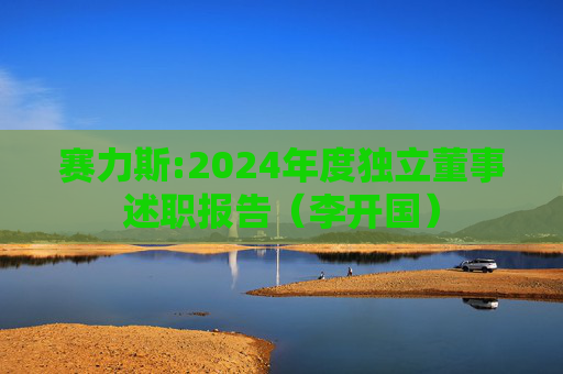 赛力斯:2024年度独立董事述职报告（李开国）