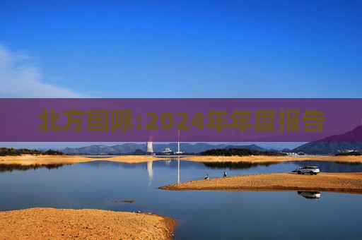 北方国际:2024年年度报告