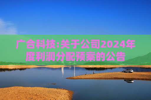 广合科技:关于公司2024年度利润分配预案的公告