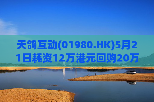 天鸽互动(01980.HK)5月21日耗资12万港元回购20万股  第1张
