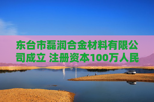 东台市磊润合金材料有限公司成立 注册资本100万人民币