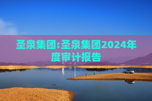 圣泉集团:圣泉集团2024年度审计报告