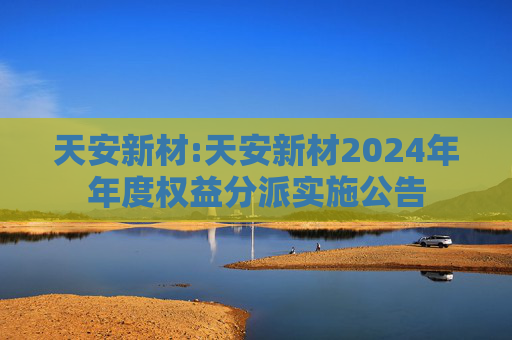 天安新材:天安新材2024年年度权益分派实施公告