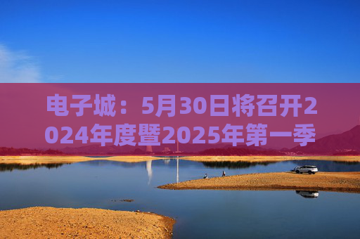 电子城：5月30日将召开2024年度暨2025年第一季度业绩说明会