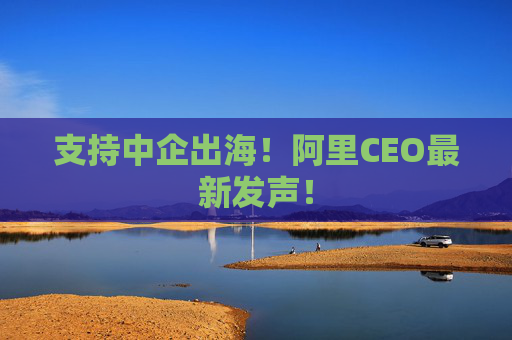 支持中企出海!阿里CEO最新发声!