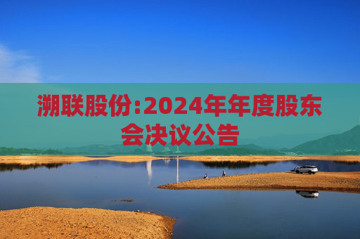 溯联股份:2024年年度股东会决议公告  第1张