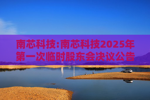 南芯科技:南芯科技2025年第一次临时股东会决议公告  第1张