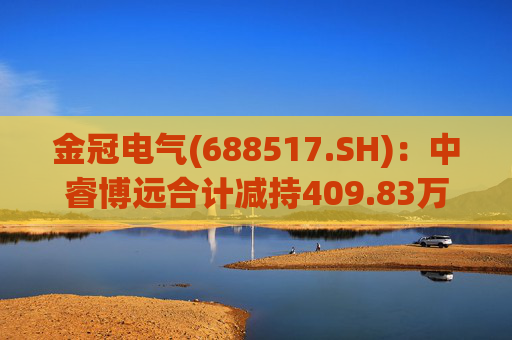 金冠电气(688517.SH)：中睿博远合计减持409.83万股股份  第1张
