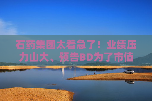 石药集团太着急了!业绩压力山大、预告BD为了市值管理?