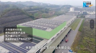 品效双赢：拆解自由点高铁卫生巾项目背后的品牌破局之道