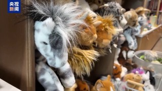 关税“毒药”自己吞？特朗普承认货架变空：美国小孩只能有2个玩具了