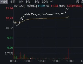 601022，临近午间收盘3分钟直线涨停！航运、石油板块集体大爆发