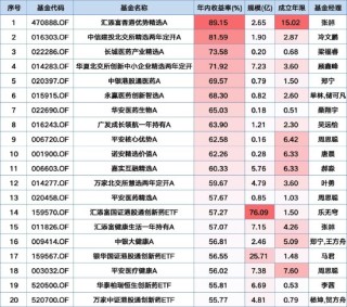 2025上半年基金成绩单：冠军基收益近90%，医药与北交所主题霸榜，广发成长领航一枝独秀