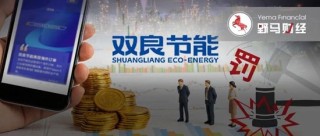 双良节能蹭SpaceX热点翻车，一篇“小作文”被罚1300万！